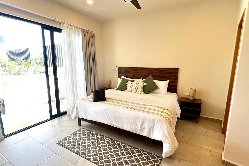 Spacious Penthouse With Pool 图卢姆 0*,