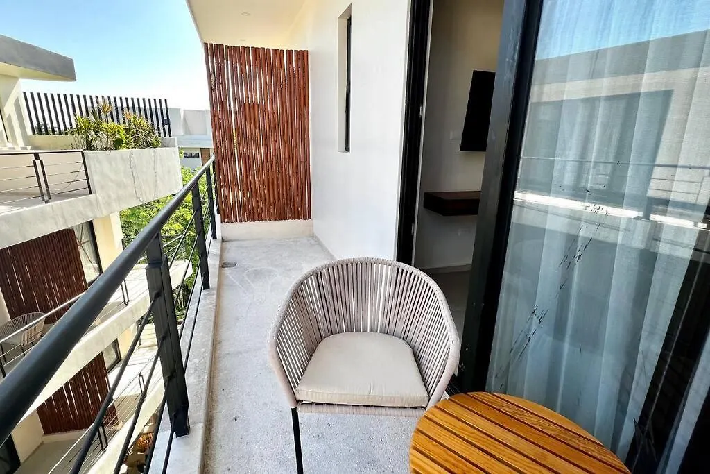 Spacious Penthouse With Pool 图卢姆 公寓