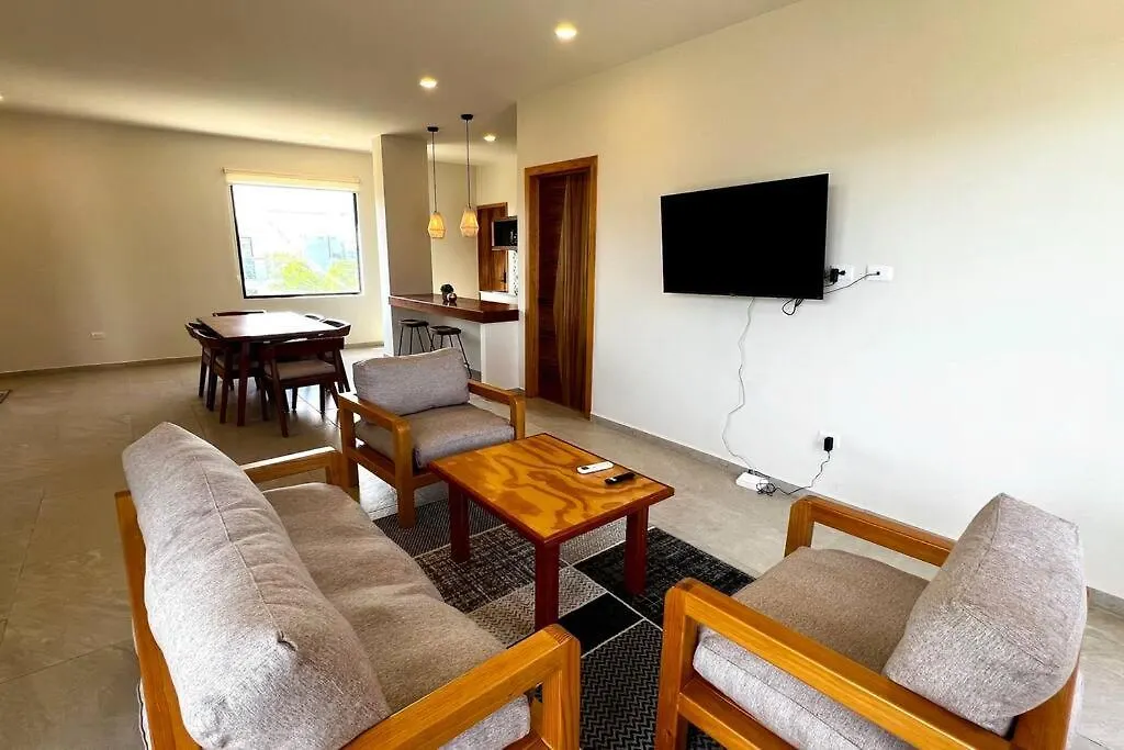 Spacious Penthouse With Pool 图卢姆