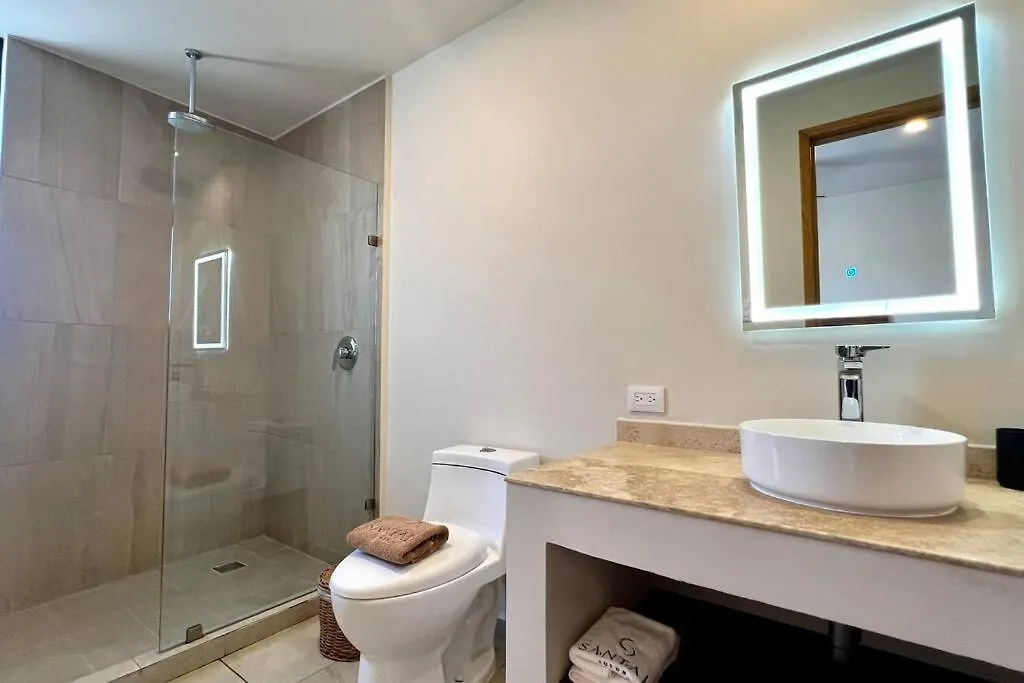 Spacious Penthouse With Pool 图卢姆 公寓