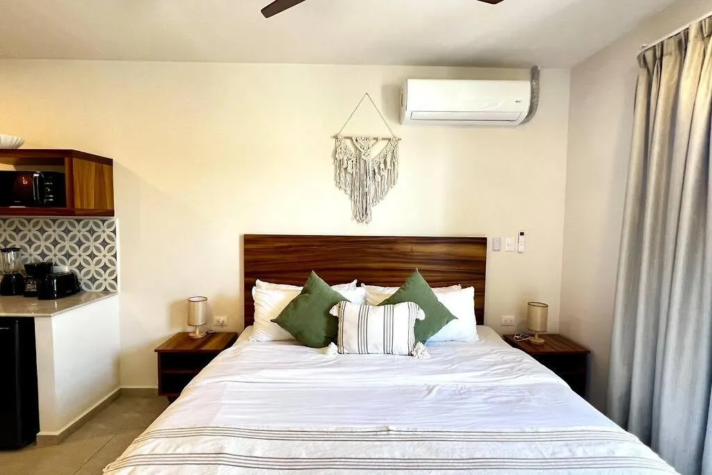 公寓 Spacious Penthouse With Pool 图卢姆