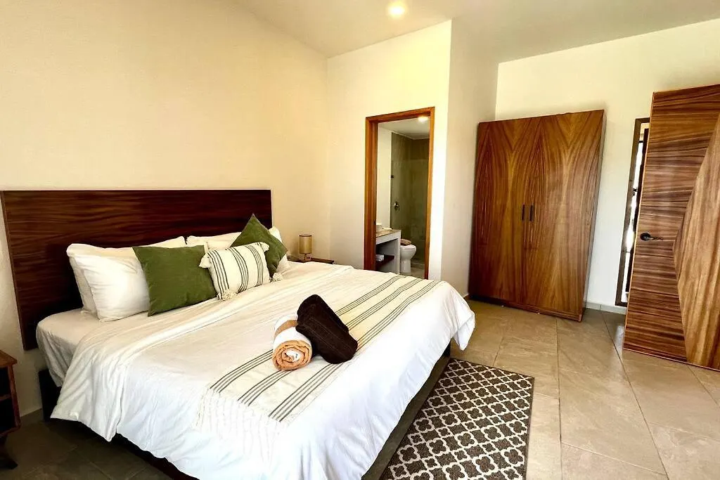 Spacious Penthouse With Pool 图卢姆 公寓