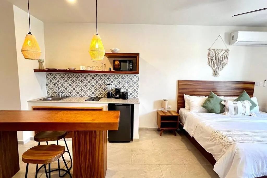 公寓 Spacious Penthouse With Pool 图卢姆 墨西哥